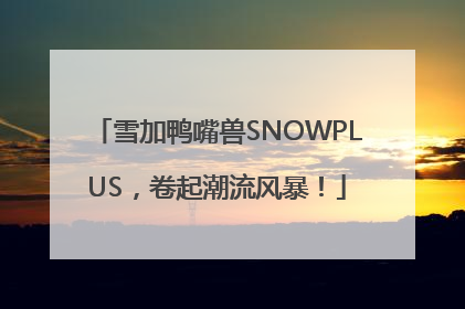 雪加鸭嘴兽SNOWPLUS，卷起潮流风暴！
