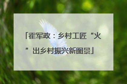 霍军政：乡村工匠“火”出乡村振兴新图景