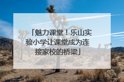 魅力课堂！乐山实验小学让课堂成为连接家校的桥梁