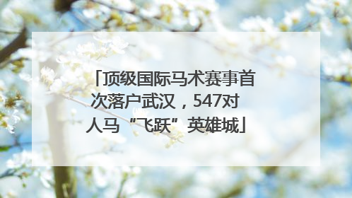 顶级国际马术赛事首次落户武汉，547对人马“飞跃”英雄城