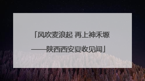 风吹麦浪起 再上神禾塬——陕西西安夏收见闻