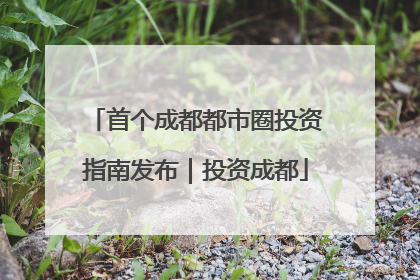 首个成都都市圈投资指南发布｜投资成都