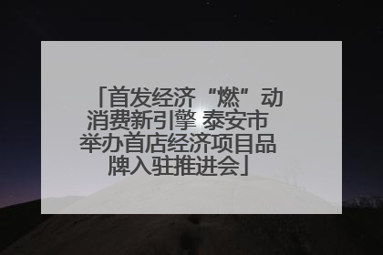 首发经济“燃”动消费新引擎 泰安市举办首店经济项目品牌入驻推进会