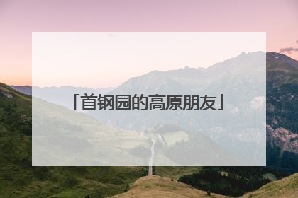 首钢园的高原朋友
