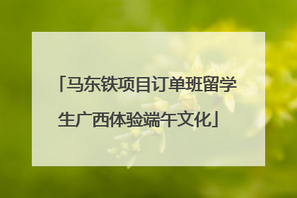马东铁项目订单班留学生广西体验端午文化