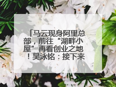 马云现身阿里总部，前往“湖畔小屋”再看创业之地！吴泳铭：接下来将以饱和式投入的打法，聚焦于几大核心战役