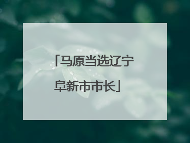 马原当选辽宁阜新市市长