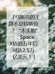 马斯克的王牌不是特斯拉？“木头姐”：SpaceX估值五年后可达2.5万亿美元！