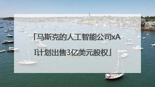 马斯克的人工智能公司xAI计划出售3亿美元股权