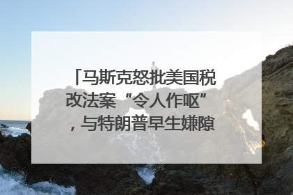 马斯克怒批美国税改法案“令人作呕”，与特朗普早生嫌隙？｜国际识局