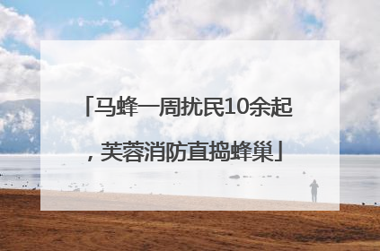 马蜂一周扰民10余起，芙蓉消防直捣蜂巢