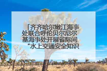 齐齐哈尔嫩江海事处联合呼伦贝尔尼尔基海事处开展省际间“水上交通安全知识进校园”活动