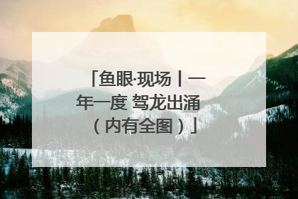 鱼眼·现场丨一年一度 驾龙出涌（内有全图）