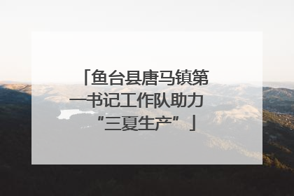 鱼台县唐马镇第一书记工作队助力“三夏生产”