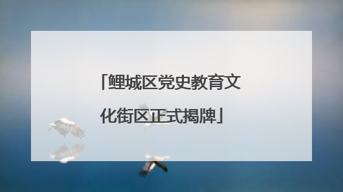 鲤城区党史教育文化街区正式揭牌