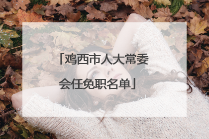鸡西市人大常委会任免职名单
