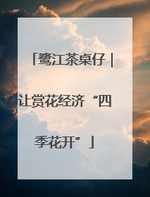 鹭江茶桌仔｜让赏花经济“四季花开”