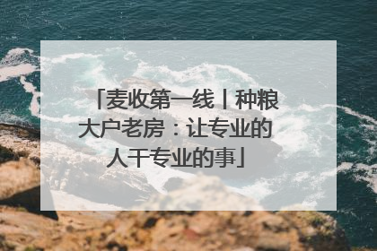 麦收第一线丨种粮大户老房：让专业的人干专业的事
