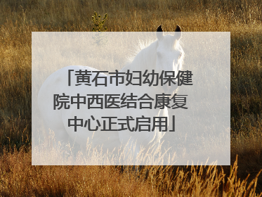 黄石市妇幼保健院中西医结合康复中心正式启用