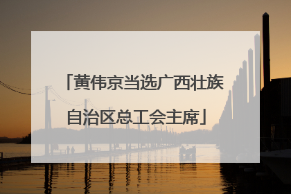 黄伟京当选广西壮族自治区总工会主席