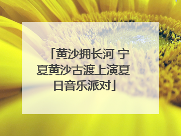 黄沙拥长河 宁夏黄沙古渡上演夏日音乐派对