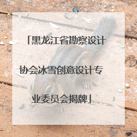 黑龙江省勘察设计协会冰雪创意设计专业委员会揭牌
