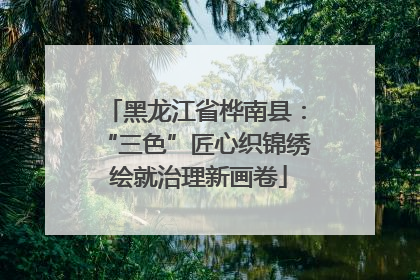 黑龙江省桦南县：“三色”匠心织锦绣 绘就治理新画卷