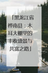 黑龙江省桦南县：木耳大棚里的丰收盛景与共富之路