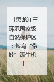 黑龙江三环泡国家级自然保护区：候鸟“带娃”添生机