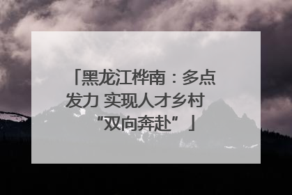 黑龙江桦南：多点发力 实现人才乡村“双向奔赴”