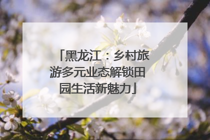 黑龙江：乡村旅游多元业态解锁田园生活新魅力