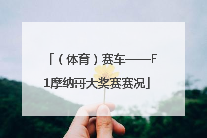 （体育）赛车——F1摩纳哥大奖赛赛况