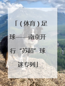 （体育）足球——南京开行“苏超”球迷专列