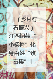 （乡村行·看振兴）江西铜鼓“小杨梅”化身百姓“致富果”