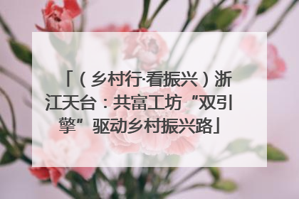 （乡村行·看振兴）浙江天台：共富工坊“双引擎”驱动乡村振兴路