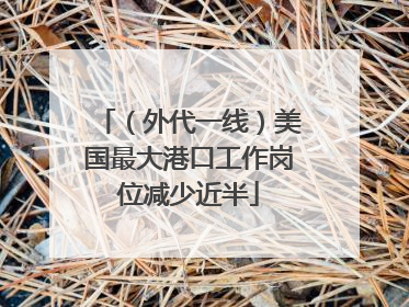 （外代一线）美国最大港口工作岗位减少近半