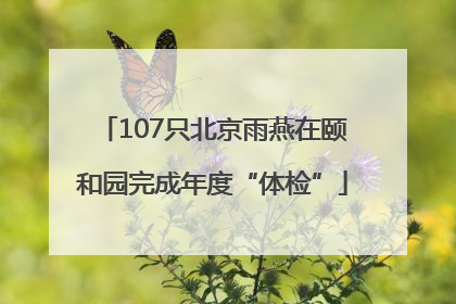 107只北京雨燕在颐和园完成年度“体检”