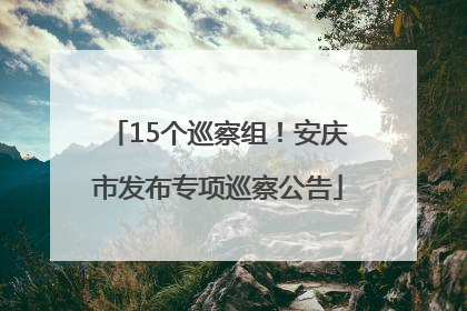 15个巡察组！安庆市发布专项巡察公告
