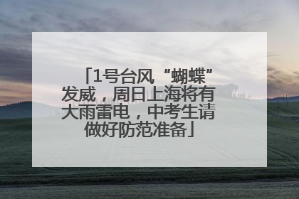1号台风“蝴蝶”发威，周日上海将有大雨雷电，中考生请做好防范准备