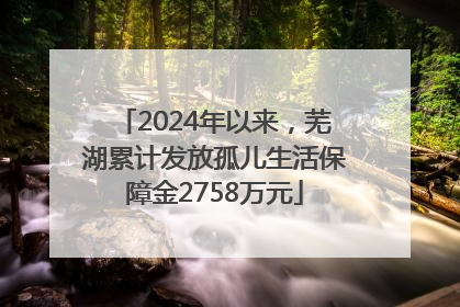 2024年以来，芜湖累计发放孤儿生活保障金2758万元