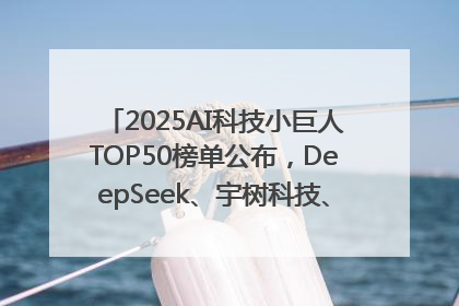 2025AI科技小巨人TOP50榜单公布，DeepSeek、宇树科技、蘑菇车联等企业荣誉上榜