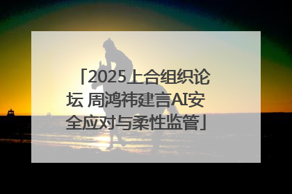 2025上合组织论坛 周鸿祎建言AI安全应对与柔性监管