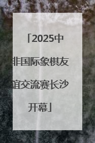 2025中非国际象棋友谊交流赛长沙开幕