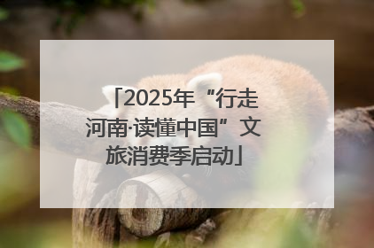 2025年“行走河南·读懂中国”文旅消费季启动
