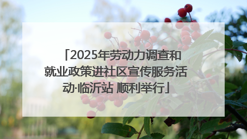 2025年劳动力调查和就业政策进社区宣传服务活动·临沂站 顺利举行
