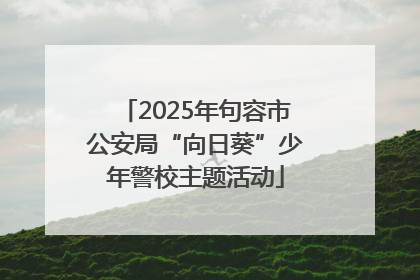2025年句容市公安局“向日葵”少年警校主题活动