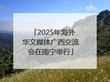 2025年海外华文媒体广西交流会在南宁举行