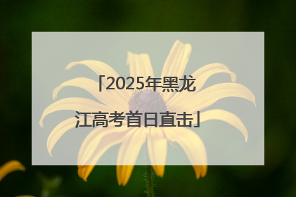 2025年黑龙江高考首日直击