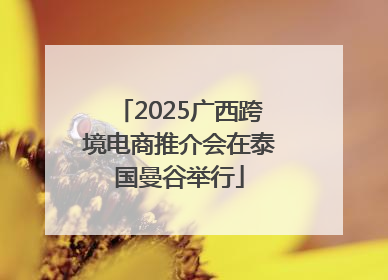 2025广西跨境电商推介会在泰国曼谷举行