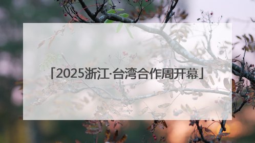 2025浙江·台湾合作周开幕